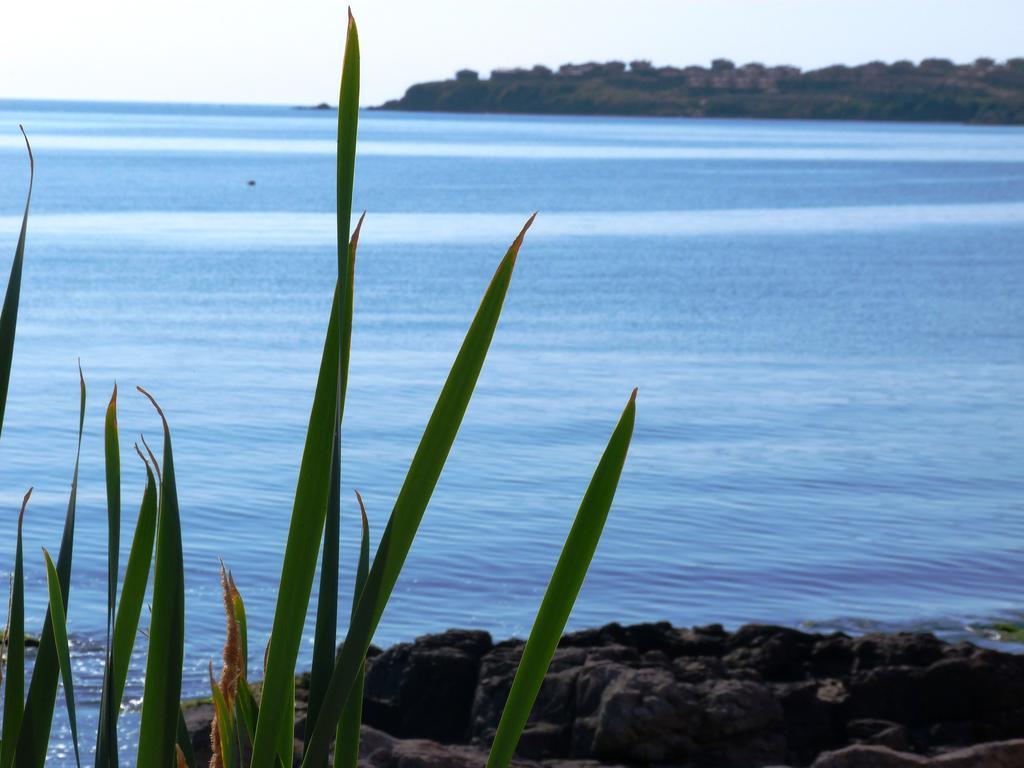 Sea View Apartments Szozopol Szoba fotó